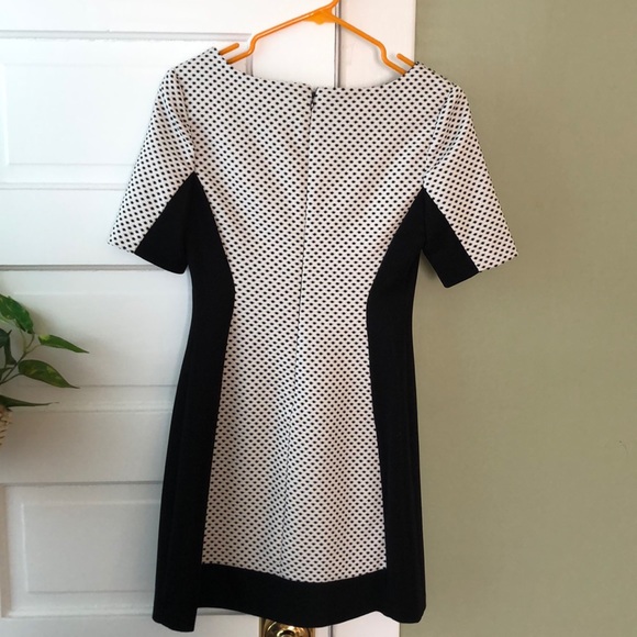 BCBG Paris Black and White Mini Dress - Picture 4 of 5